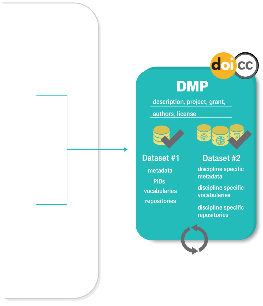 DMP outputs